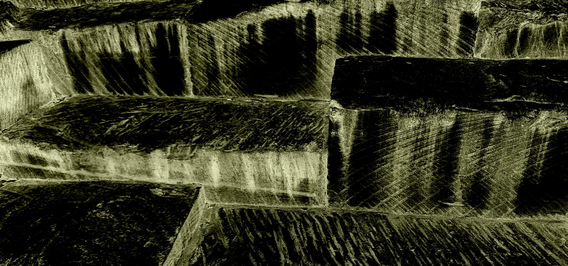 IMG_3473 medium cropped.jpeg